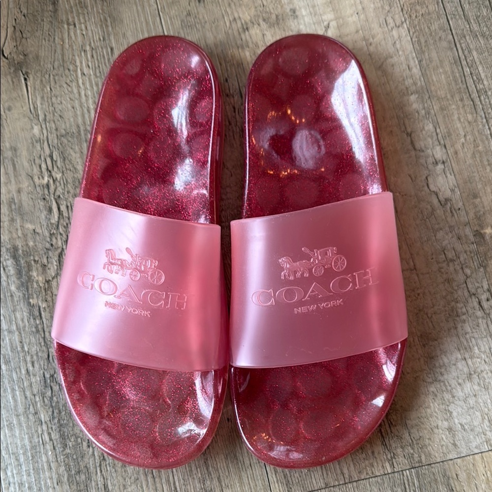 Coach Pink Glitter Slides, size 7.5-8